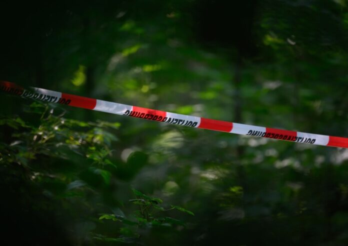 Ermittlungen nach tödlichem Jagdunfall Der tödliche Schuss fiel in einem unwegsamen Waldgebiet bei Warburg. (Symbolbild)