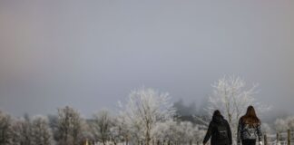 Temperaturen bleiben niedrig – glatte Straßen möglich In den kommenden Tagen bleibt es in Nordrhein-Westfalen kalt. (Archivbild)