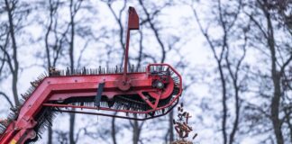 Erntejahr 2026: Landwirte in NRW sind optimistisch Von einem Landwirt werden die letzten Karotten mit einem Möhrenroder vom Feld geerntet. (Archivbild)