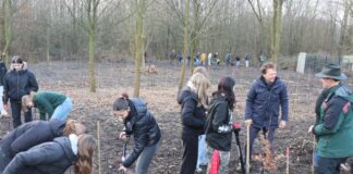 Zuwachs für den Stadtwald Broichhof Unter Anleitung von Revierförster Volker Steinhage (rechts) setzten die Schülerinnen und Schüler Jungbäume in den Boden, auch Umweltdezernent Bert Wagener (2.v.r) griff zum Spaten. Foto: Stadt Ratingen