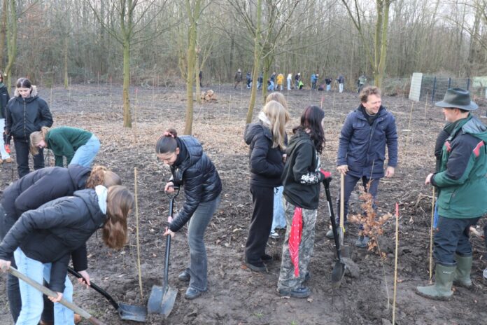 2026-02-05-Baumpflanzaktion_Liebfrauenschule1 Unter Anleitung von Revierförster Volker Steinhage (rechts) setzten die Schülerinnen und Schüler Jungbäume in den Boden, auch Umweltdezernent Bert Wagener (2.v.r) griff zum Spaten. Foto: Stadt Ratingen