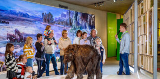 Für Kinder und ihre Begleitpersonen gibt es reichlich Programm im Museum. Foto: Neanderthal-Museum