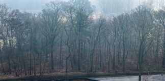 Straße sackt in Grube – Experten suchen nach Ursache Direkt an einem Baggersee einer Quarzgrube sieht man auf dieser Drohnenaufnahme den abgesackten Bereich einer Straße. (Archivbild)