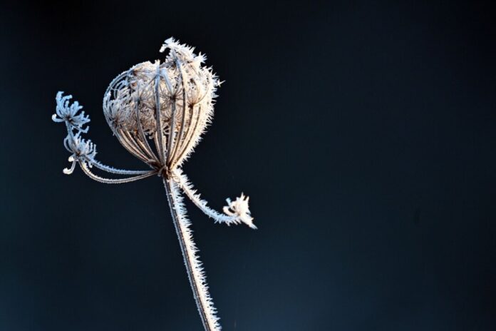 Winterwetter in Nordrhein-Westfalen In NRW wird es wieder kälter. (Archivfoto)