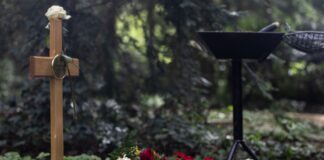 Fast jeder Vierte stirbt an Krebs Unheilbar an Krebs Erkrankte sterben im Durchschnitt in jüngeren Jahren als der Durchschnitt aller Gestorbenen. (Symbolbild)