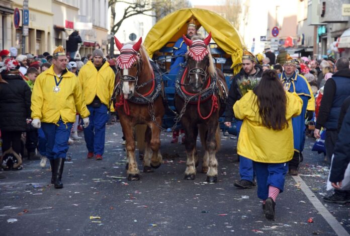 Pferde im Karnevalsumzug Karneval ist für viele Pferde kein Spaß. (Archivbild)