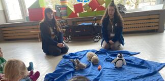 Reptilienbesuch im Kindergarten – “Warum hat die Schildkröte einen Panzer?”