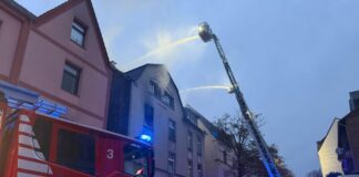 Brand in Bochum: Bewohner, Geckos und Katze gerettet Das Feuer brach im zweiten Stock aus.