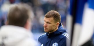 Dzeko-Zauber reicht Schalke nicht: Darmstadt nun Erster Zwei Tore von Schalkes Edin Dzeko reichten nicht für den Sieg.