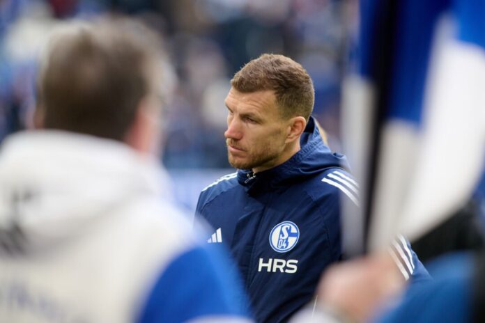 FC Schalke 04 - Dynamo Dresden Zwei Tore von Schalkes Edin Dzeko reichten nicht für den Sieg.