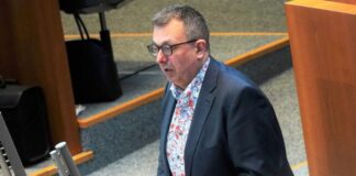 Mostofizadeh erneut Co-Vorsitzender der Grünen-Fraktion Ein altbekanntes Gesicht der Grünen-Landtagsfraktion übernimmt dort wieder das Ruder: Mehrdad Mostofizadeh. (Archivbild)