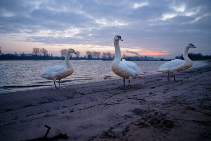 Wetter in Nordrhein-Westfalen Zum Wochenstart könnte es auf den Straßen NRWs glatt werden.