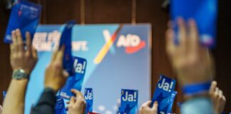 Nach Rede im Hitler-Stil: AfD will Eichwald rauswerfen Bei dem Kongress hatte eine Rede im Stil Adolf Hitlers Aufsehen erregt. (Archivbild)