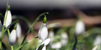 Frühlingshafte Temperaturen in NRW erwartet Am Samstag ist mit frühlingshaften Temperaturen zu rechnen. (Archivbild)