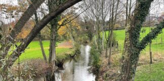 Visionen für ein artenreiches und ökologisch vielfältiges Ratingen Das Tal der Anger ist einer jener wertvollen Orte in der Natur, auf denen Visionen von einer ökologisch vielfältigen Zukunft Ratingens basieren können. Foto: Stadt Ratingen