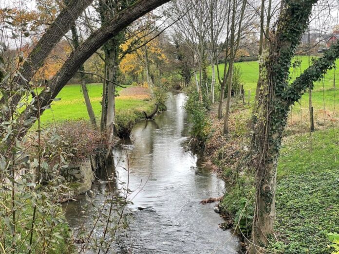 Das Tal der Anger ist einer jener wertvollen Orte in der Natur, auf denen Visionen von einer ökologisch vielfältigen Zukunft Ratingens basieren können. Foto: Stadt Ratingen Das Tal der Anger ist einer jener wertvollen Orte in der Natur, auf denen Visionen von einer ökologisch vielfältigen Zukunft Ratingens basieren können. Foto: Stadt Ratingen