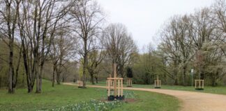 Die sprechenden Bäume, Bild: Stadt Ratingen