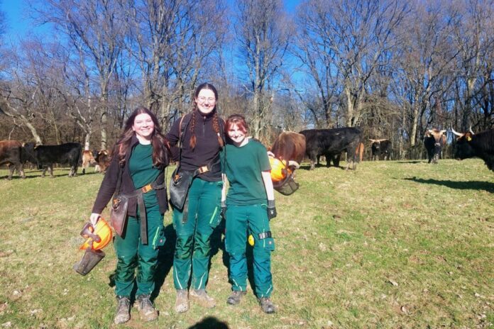 20260317_Wildgehege_FÖJ Leonie, Jette und Jana (v.l.) absolvieren aktuell ein FÖJ im Eiszeitlichen Wildgehege des Kreises Mettmann. Foto: Kreis Mettmann