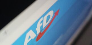 Vetternwirtschaft: Besonders die AfD wird damit in Verbindung gebracht In einem Internetbrowser ist die Webseite der AfD aufgerufen worden. Foto: Volkmann