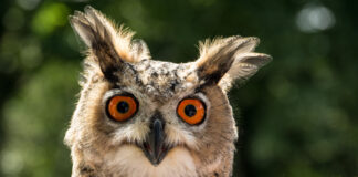 Fotoclub zeigt schöne Bilder: „Soweit das Auge reicht” „Soweit das Auge reicht“ lautet das Motto der Ausstellung. Foto: Dieter Anders