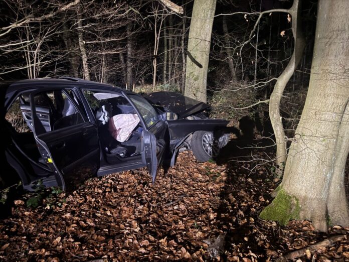 Das Fluchtfahrzeug kollidierte mit einem Baum. Foto: Polizei Mettmann Das Fluchtfahrzeug kollidierte mit einem Baum. Foto: Polizei Mettmann