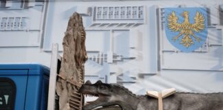 Filmreihe bringt Regisseure nach Ratingen Am 30. Mai ab 12 Uhr wird der essayistische Dokumentarfilm „Vor Zeit“ (Przedczas) von Juliane Henrich gezeigt. Foto: Juliane Henrich
