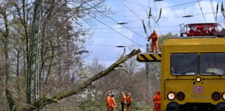 Sturm verursacht Schäden in NRW – Zug kollidiert mit Baum Arbeiter beseitigen den Baum, der bei Mönchengladbach in die Gleise gefallen ist.
