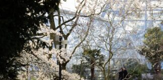 Milder März mit viel Sonne – und ein eisiger Gruß am Schluss Mildes Wetter und viel Sonnenschein in NRW