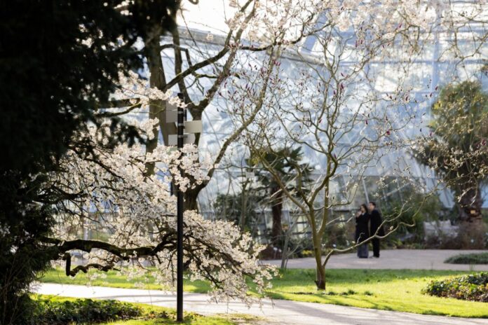 Wetter in Köln Mildes Wetter und viel Sonnenschein in NRW