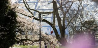 Heiteres Wetter tagsüber – Frost in der Nacht Am Wochenende bleibt das Wetter in NRW frühlingshaft. (Archivbild)