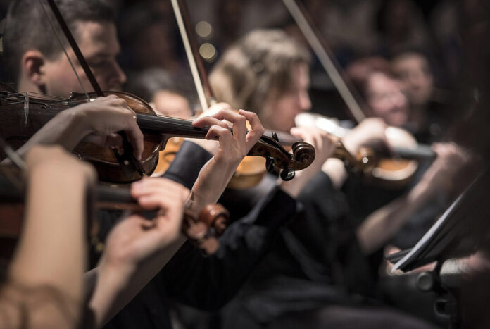pexels-violins-1838390_1280
