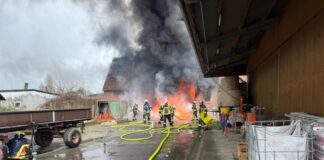 99 Ferkel bei Stallbrand gestorben Rund 100 Ferkel sterben bei einem Stallbrand.
