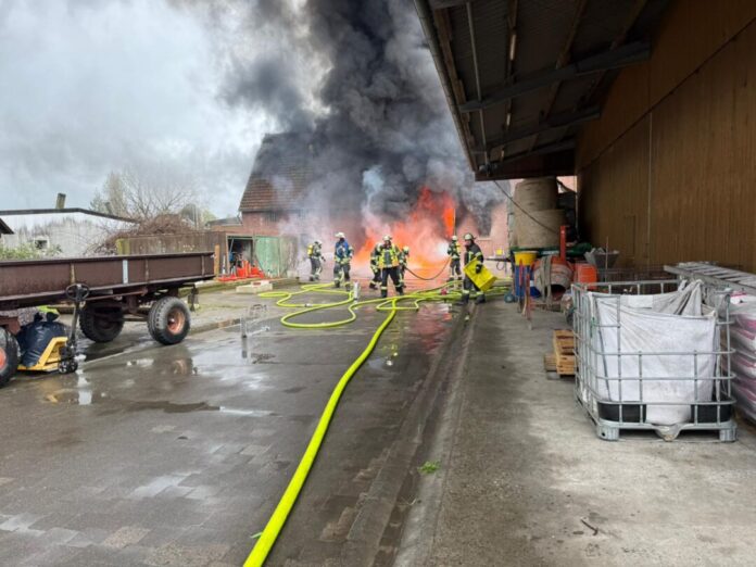 Rund 100 Ferkel bei Stallbrand gestorben Rund 100 Ferkel sterben bei einem Stallbrand.