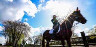 Regenschauer und Wind – Die Woche startet ungemütlich Ab Montag soll das Wetter wechselhaft werden.