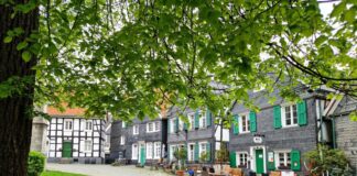 Stadttauben: Gelege gegen Eier-Attrappen austauschen