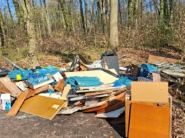 Ratingen: Stadt ermittelt Müllsünder und verhängt hohe Strafe Einen halben Hausrat einfach in den Wald gekippt hat ein Müllsünder, der jedoch ermittelt wurde und nun belangt wird. Foto: Stadt Ratingen