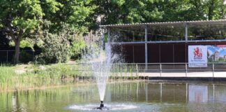 Es plätschert im Stadthallenteich. Foto: Stadt Ratingen