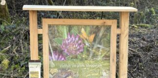 Neue Infotafeln an der “Grube 7” installiert Neue Tafeln informieren an der "Grube 7" über Wissenswertes. Foto: Kreis ME