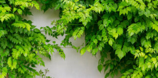 Gegen Hitze im Sommer helfen klimaangepasste Orte. Foto: VZ NRW/adpic