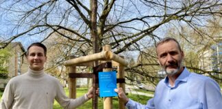 Bürgermeister André Bär und Frithjof Gerstner, Westenergie-Kommunalmanager (v. l.) bei der Übergabe der Klimabäume in Mettmann. Foto: Westenergie AG / Judith Meuter