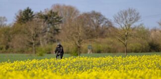 Am Wochenende sollen die Temperaturen steigen.