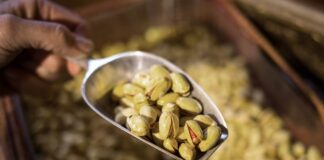 Aus Pistazien wird eine beliebte Creme gemacht. (Symbolbild)