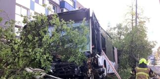 Der Fahrer war im Bus eingeklemmt.