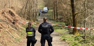 In diesem Waldstück wurde der Kopf der getöteten Frau gefunden. (Archivbild)