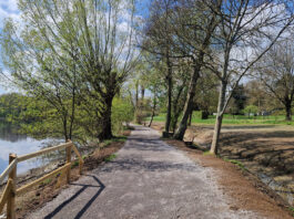 Abtskücher Teich: Rundweg bald wieder frei – Rinderbach fließt in natürlichem Bachbett