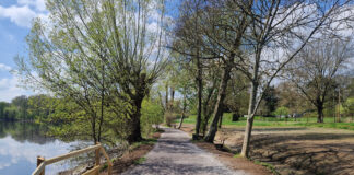 Abtskücher Teich: Rundweg bald wieder frei – Rinderbach fließt in natürlichem Bachbett