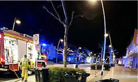 Unbekannte setzen Mülltonnen in Brand In Moheim am Rhein haben unbekannte mehrere Mülltonnen angezündet. Foto: Polizei