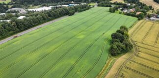 Gewerbegebiet “Große Feld”: Stadt informiert Bürger im Forum