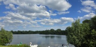 Grüner See unter Druck Der Grüne See in Ratingen, für viele ein Naherholungsgebiet, Bild: Alexander Heinz
