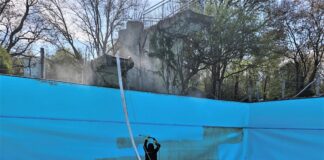 Die Reinigung der Folie im Becken des Naturfreibades ist fast abgeschlossen. Foto: Kreisstadt Mettmann